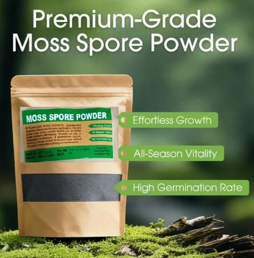 Moss Spore Powder Seeds 100gm (Pack of 1)